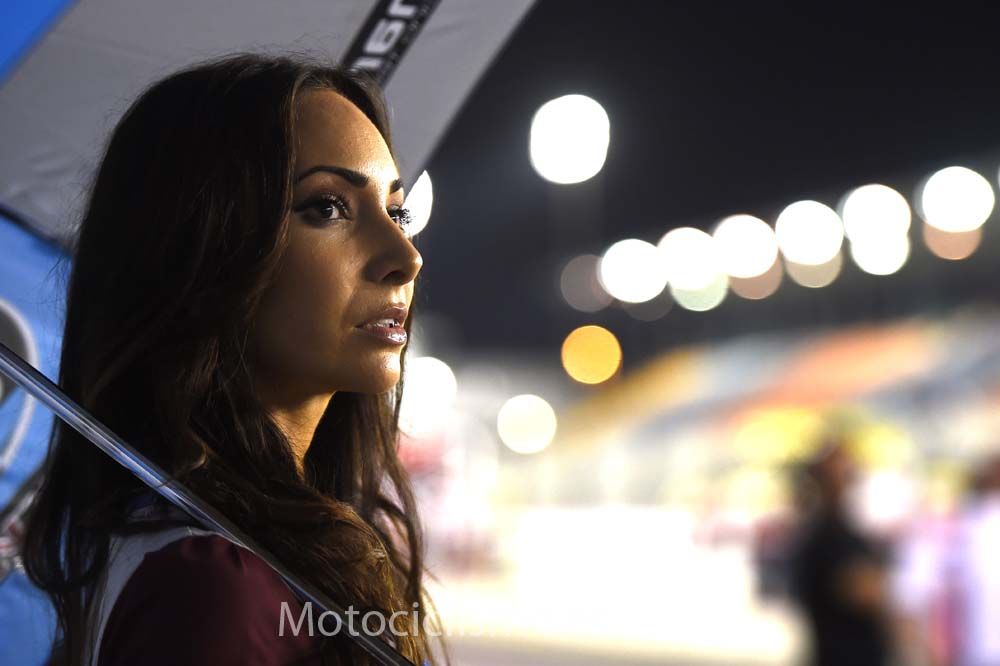 Las chicas del GP de Qatar 2015