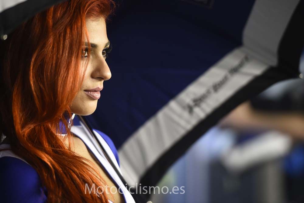 Las chicas del GP de Qatar 2015