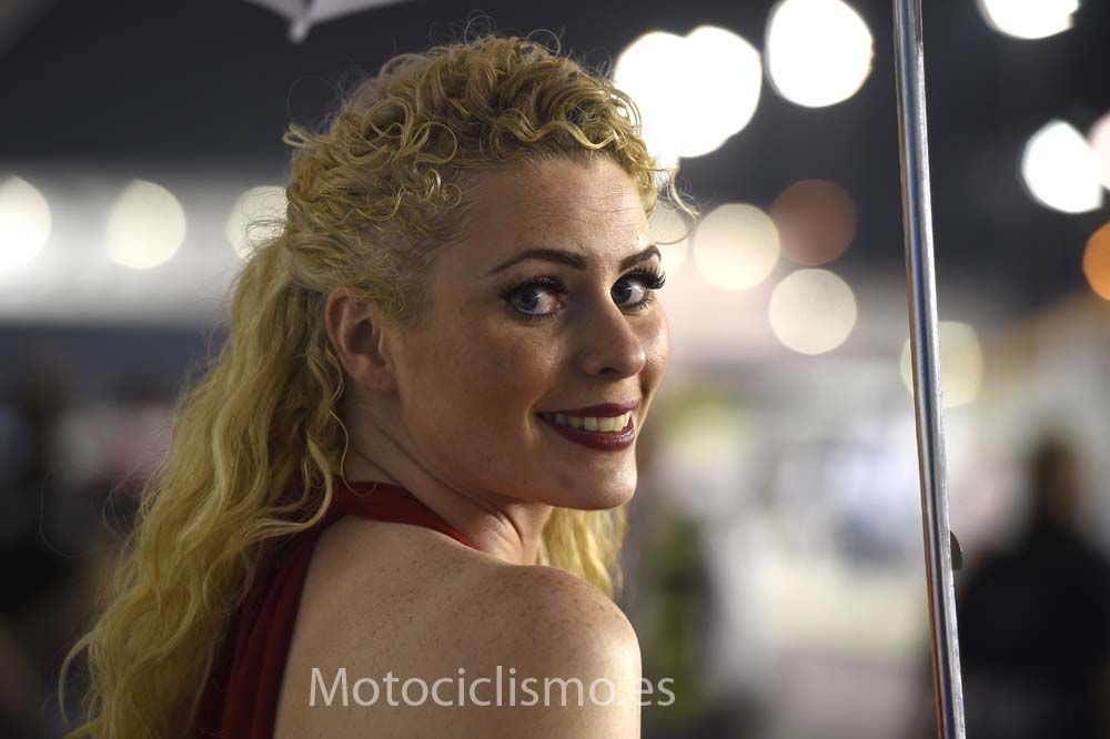 Las chicas del GP de Qatar 2015