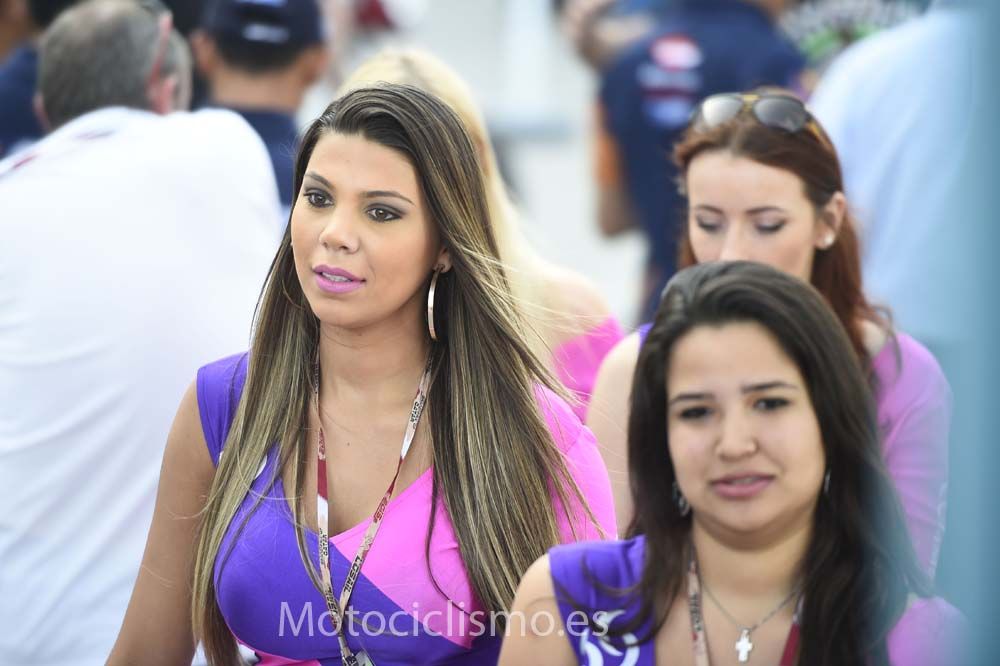 Las chicas del GP de Qatar 2015