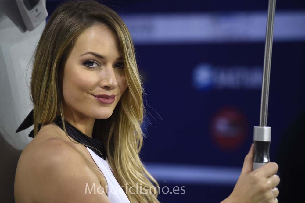 Las chicas del GP de Qatar 2015