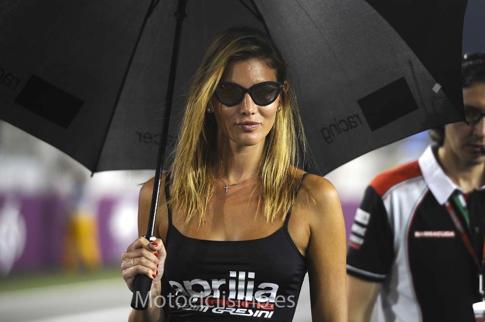 Las chicas del GP de Qatar 2015