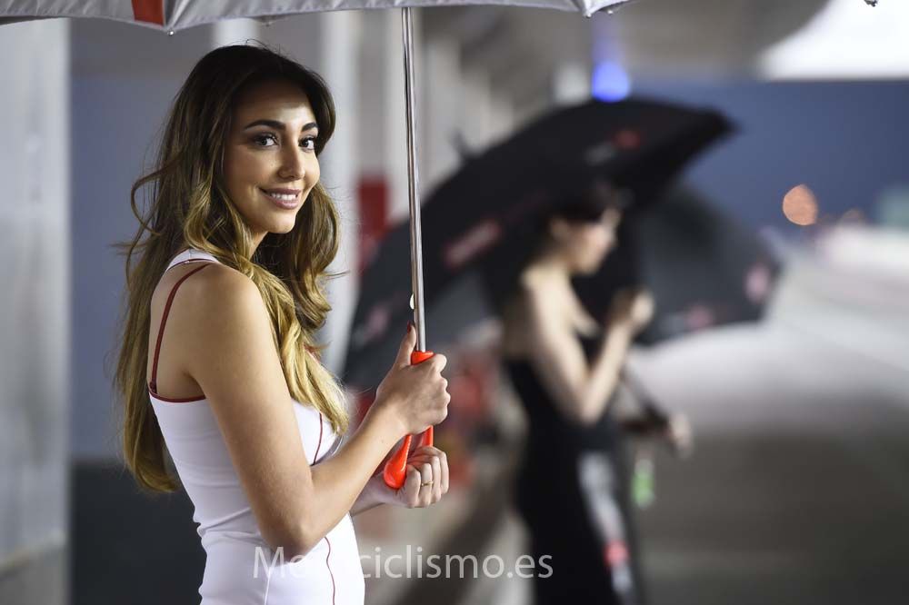 Las chicas del GP de Qatar 2015