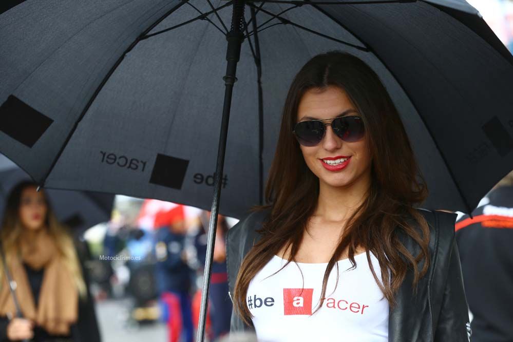 Las chicas de las SBK en Assen