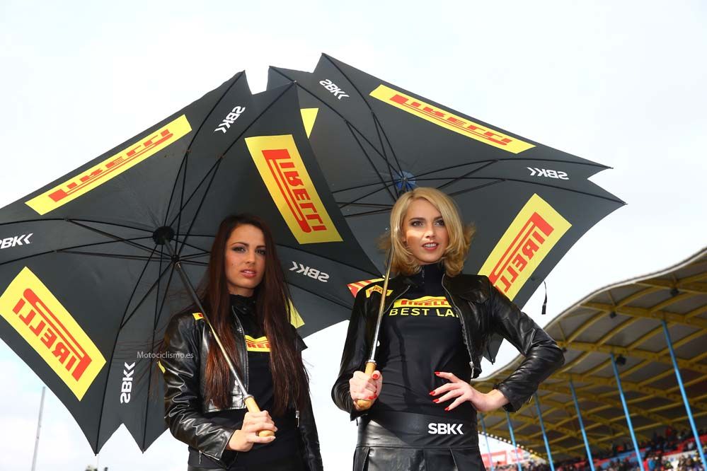 Las chicas de las SBK en Assen