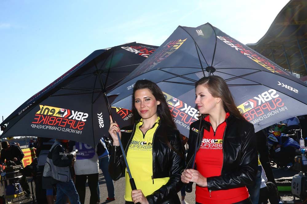 Las chicas de las SBK en Assen