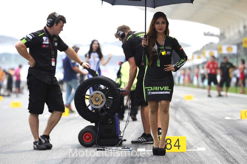 Las chicas del GP de Malasia de MotoGP