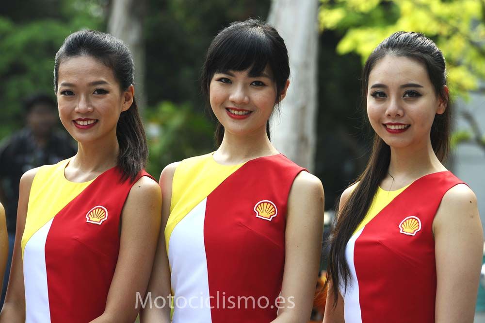 Las chicas del GP de Malasia de MotoGP