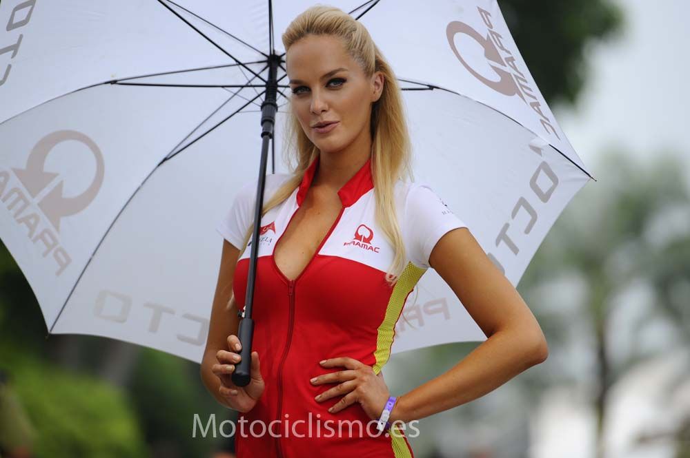 Las chicas del GP de Malasia de MotoGP