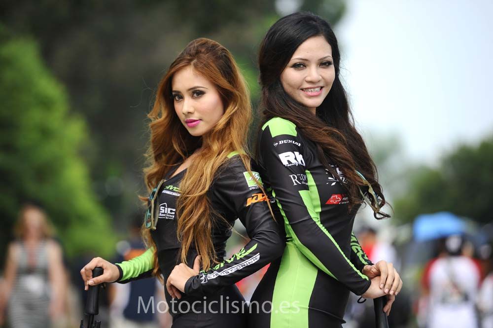 Las chicas del GP de Malasia de MotoGP