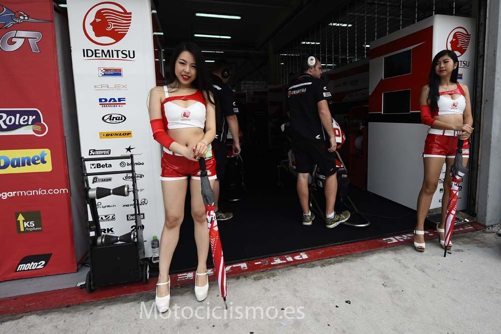 Las chicas del GP de Malasia de MotoGP