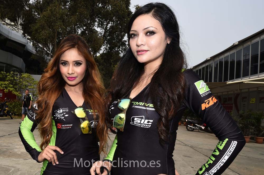 Las chicas del GP de Malasia de MotoGP