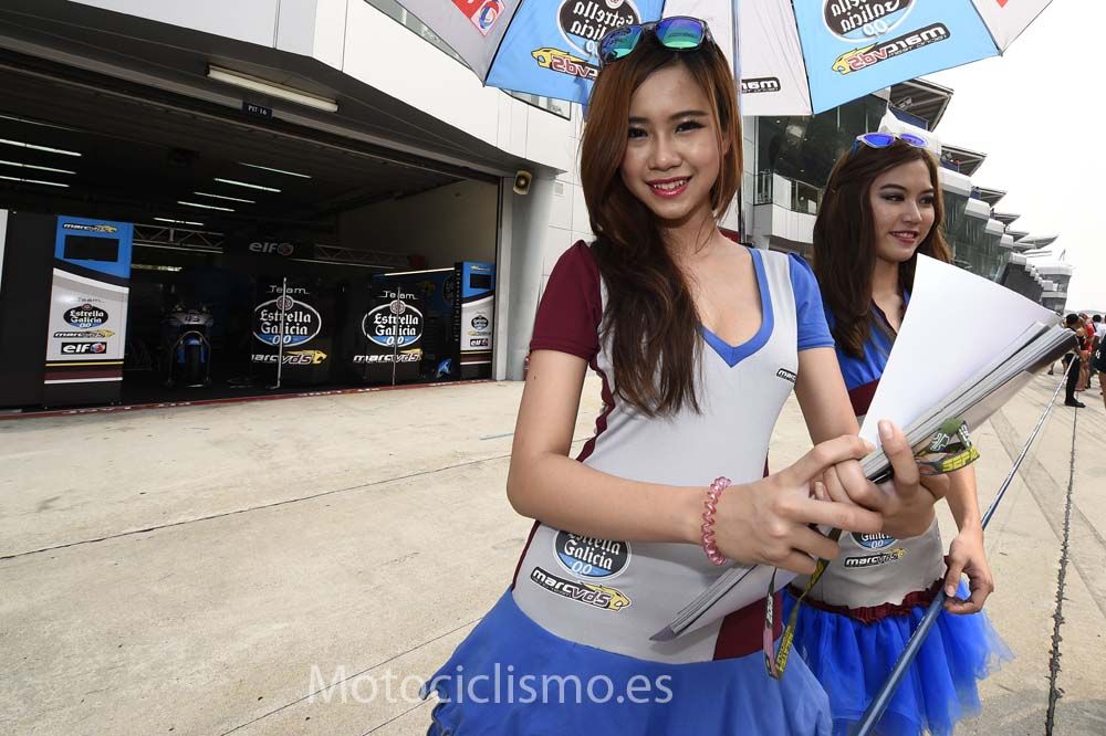 Las chicas del GP de Malasia de MotoGP