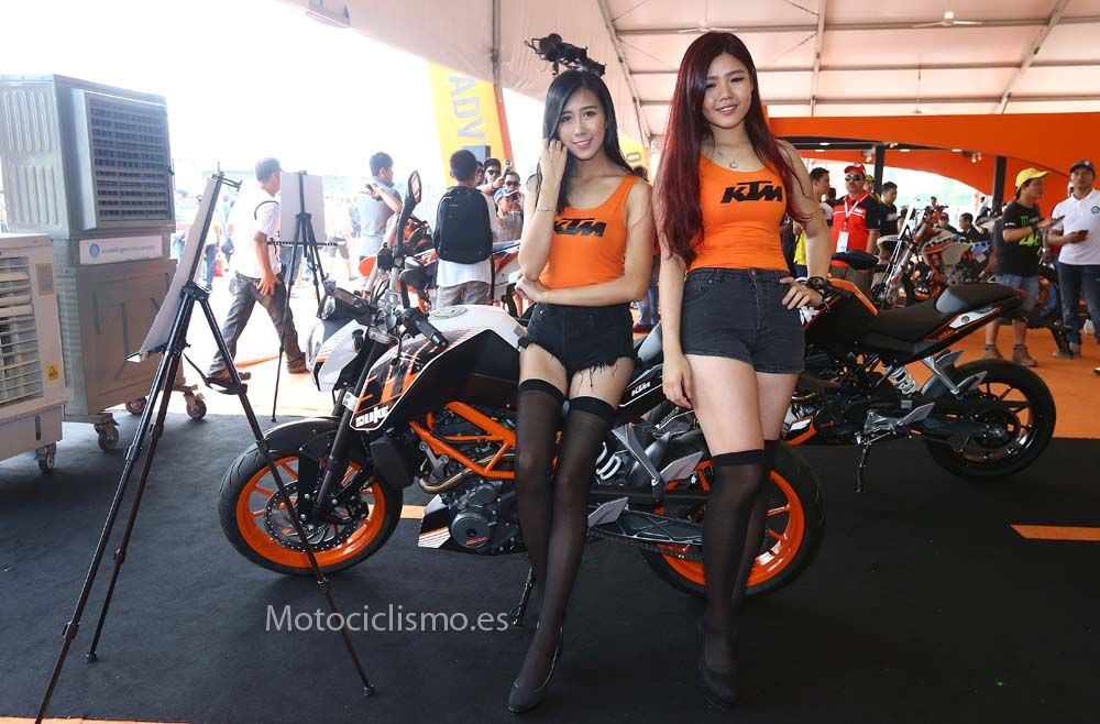 Las chicas del GP de Malasia de MotoGP