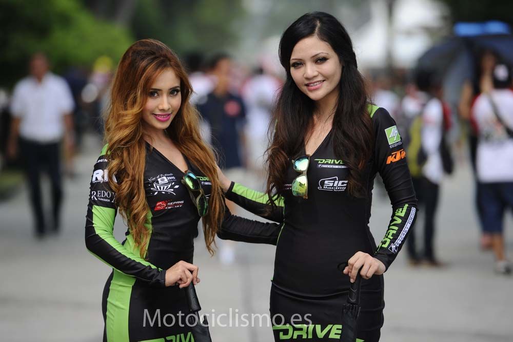 Las chicas del GP de Malasia de MotoGP