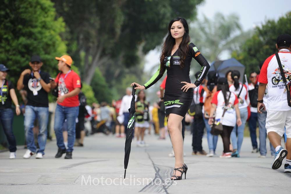 Las chicas del GP de Malasia de MotoGP