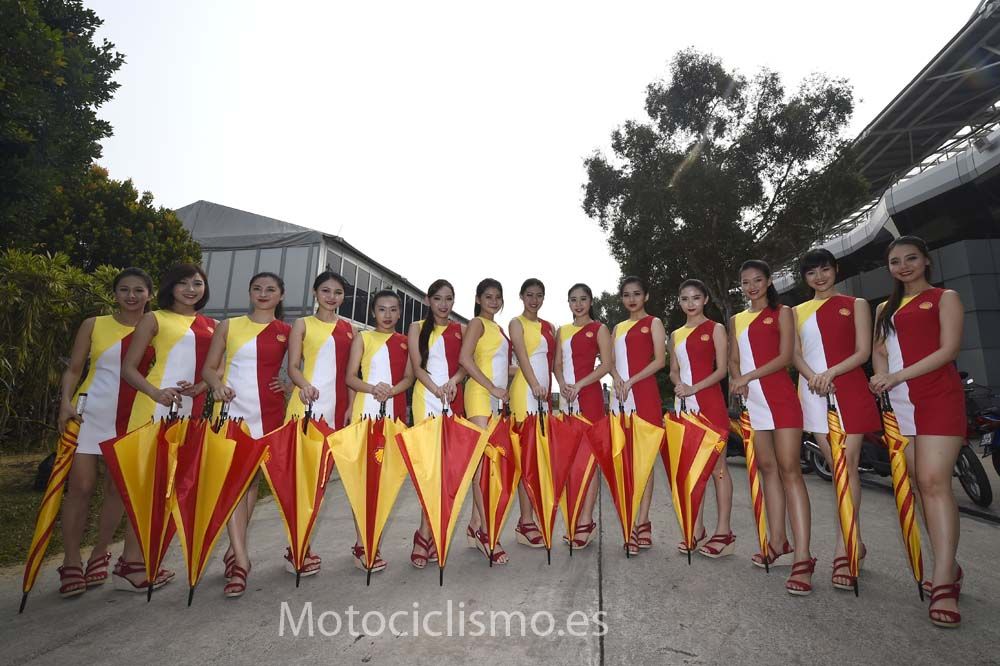 Las chicas del GP de Malasia de MotoGP