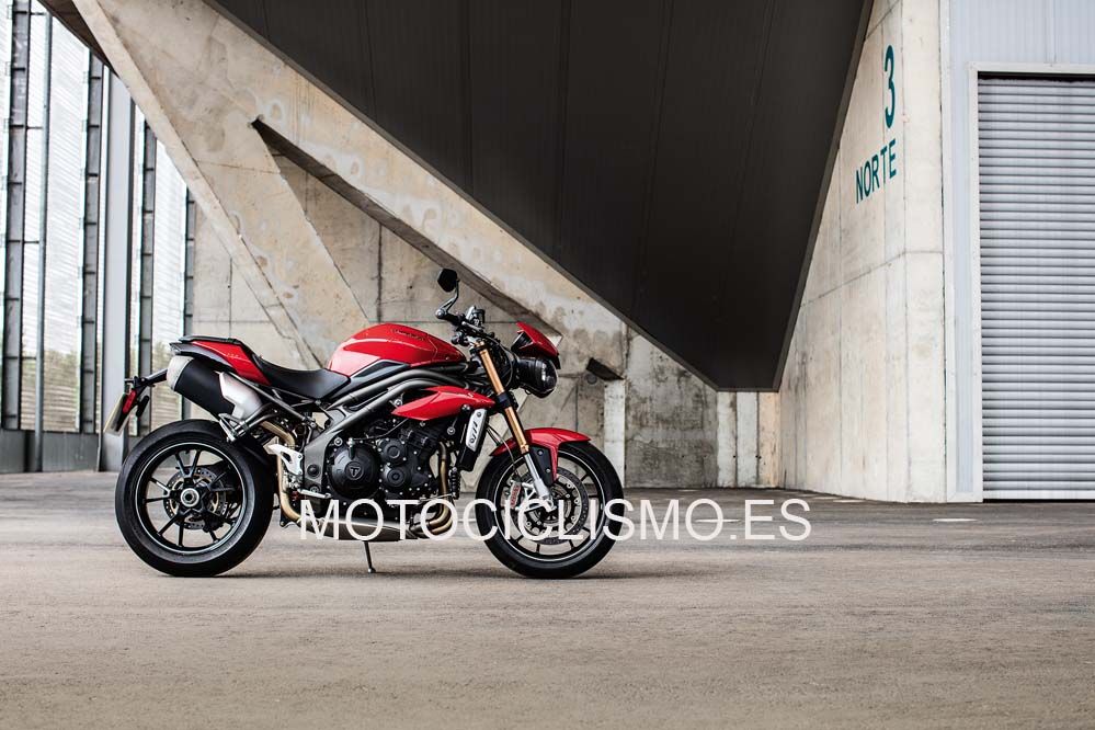 Triumph Speed Triple S y R