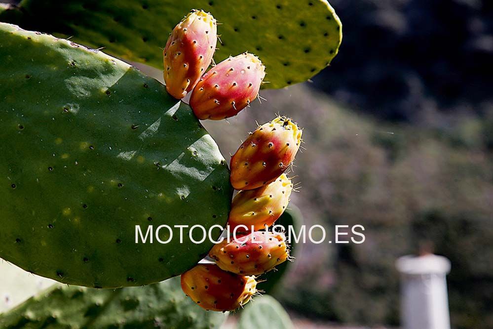 Ruta en moto por la Alpujarra Granadina