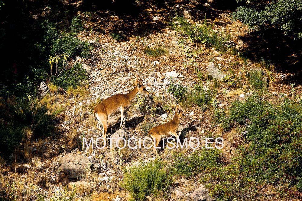 Ruta en moto por la Sierra de Grazalema