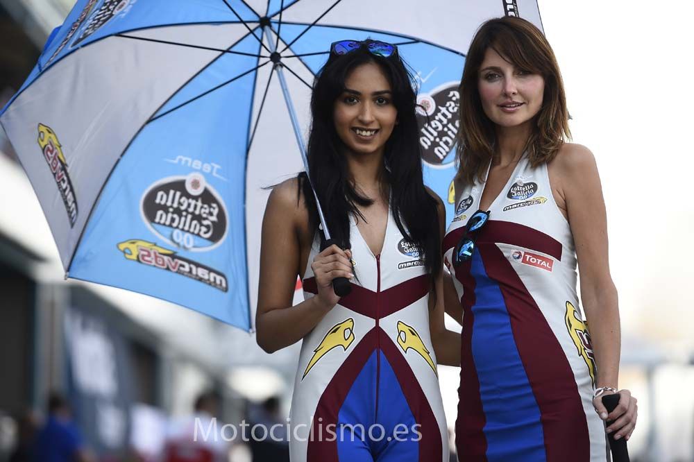 Las chicas del GP de Qatar de MotoGP