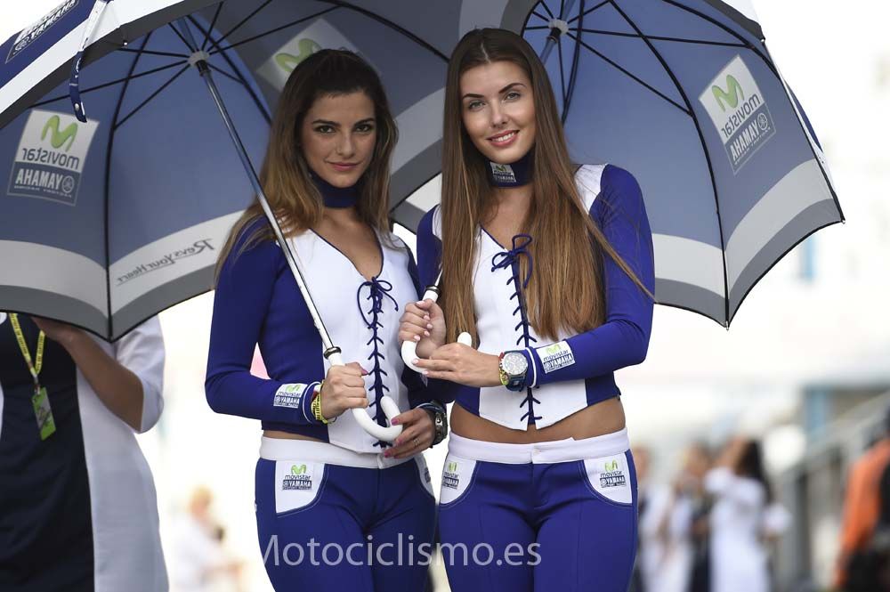 Las chicas del GP de Qatar de MotoGP