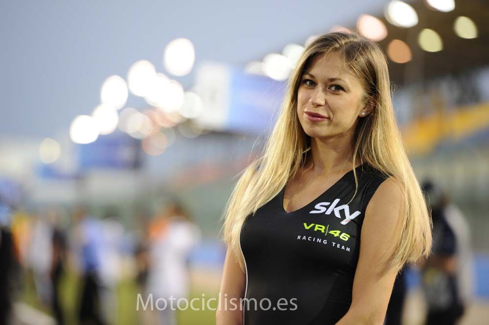 Las chicas del GP de Qatar de MotoGP