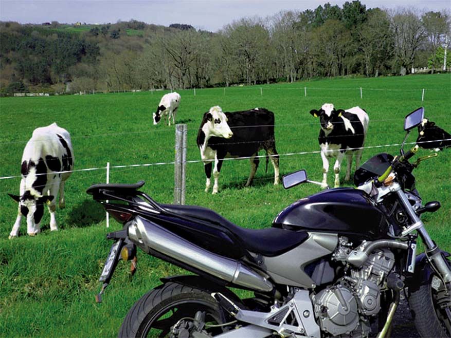 100.000 km con la Honda CB600F Hornet