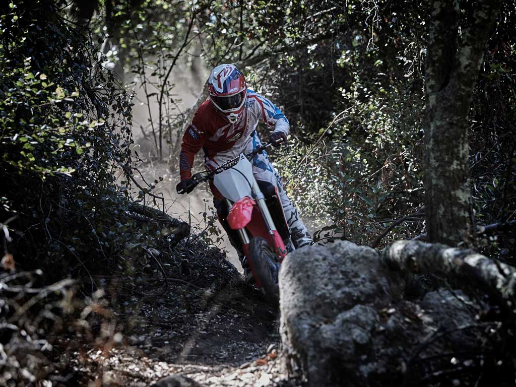 Honda CRF 450 RX 2017