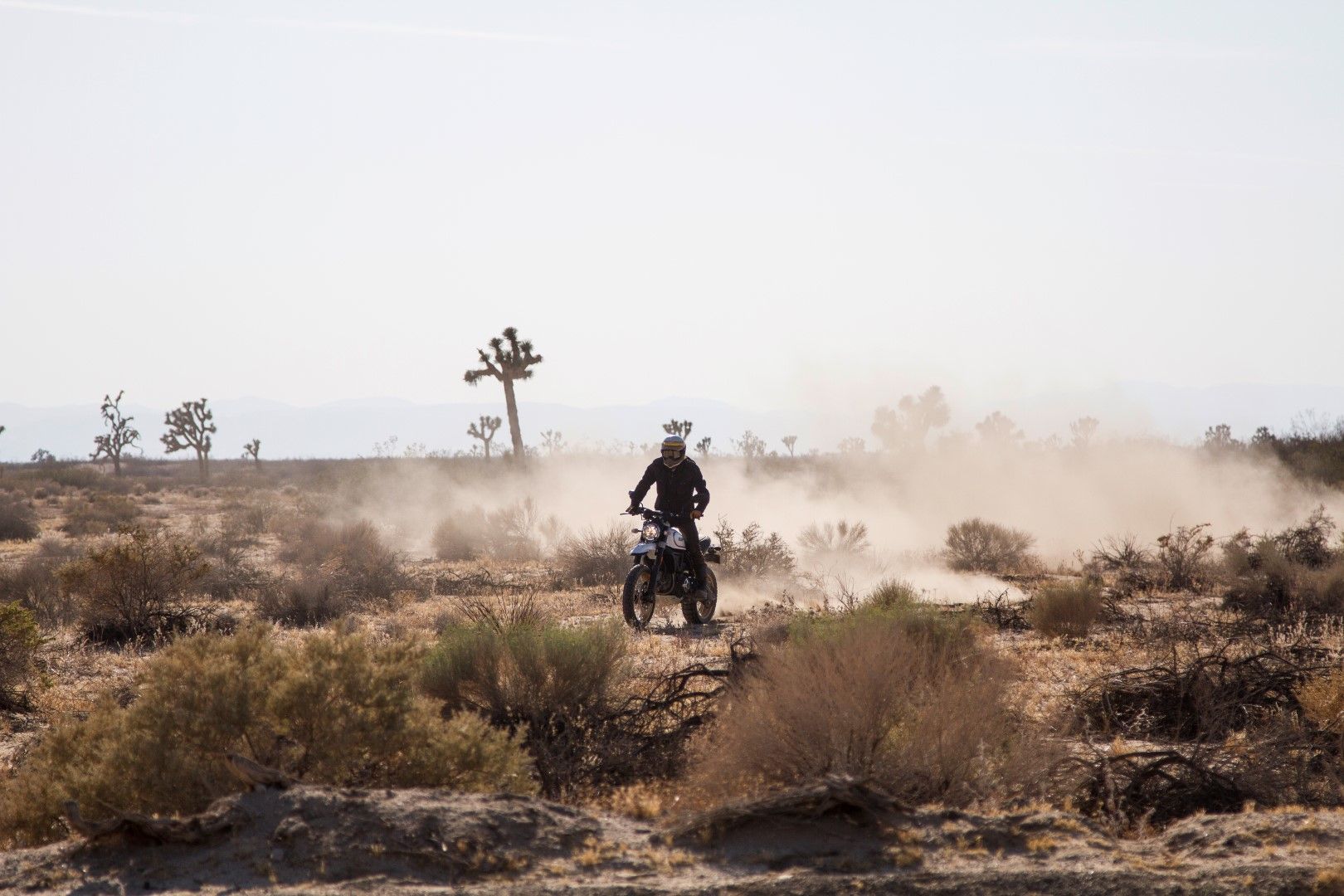 Ducati Scrambler Desert Sled 2017 fotos