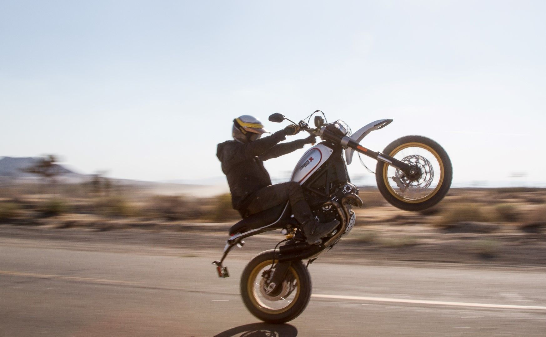 Ducati Scrambler Desert Sled 2017 fotos