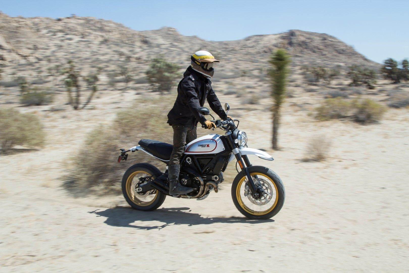 Ducati Scrambler Desert Sled 2017 fotos