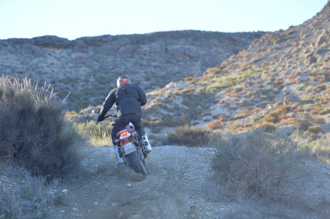 Ducati Scrambler Desert Sled