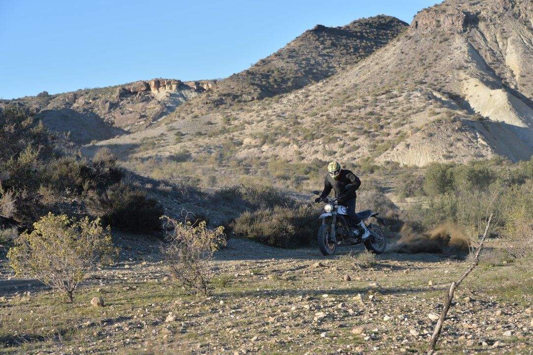 Ducati Scrambler Desert Sled