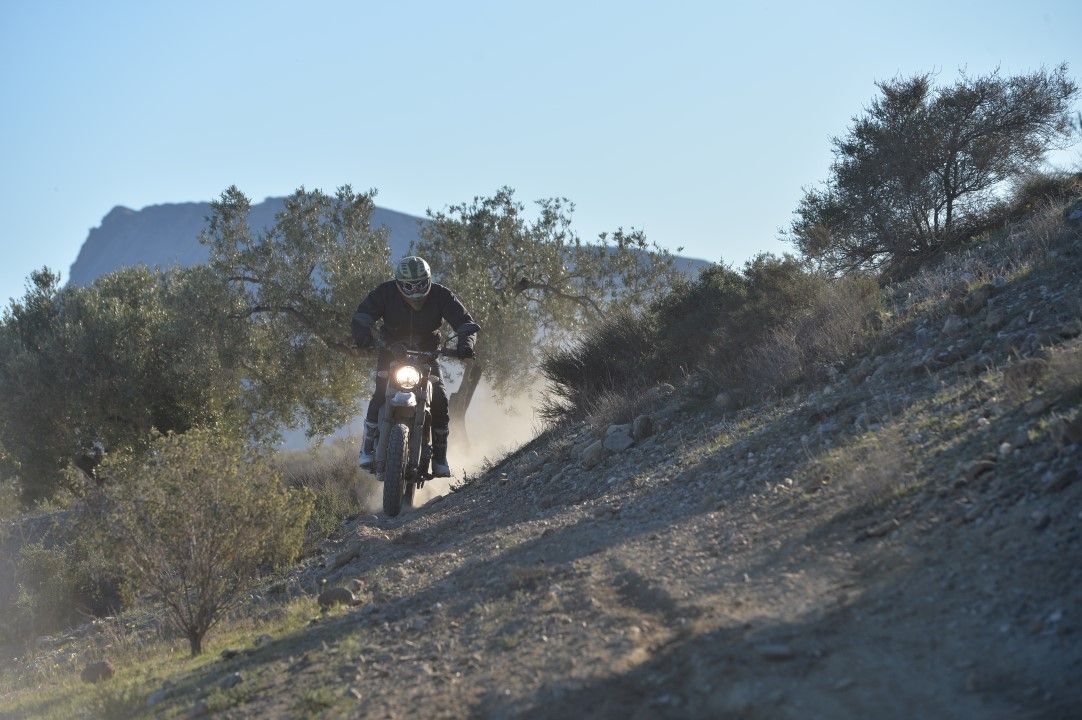 Ducati Scrambler Desert Sled