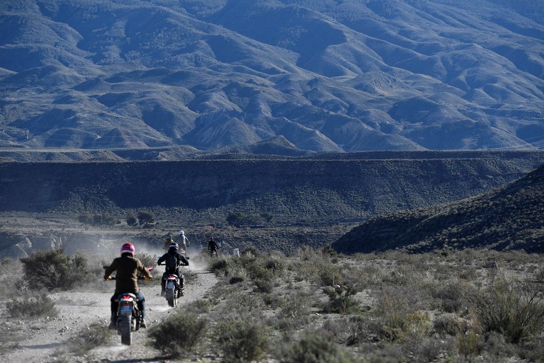 Ducati Scrambler Desert Sled