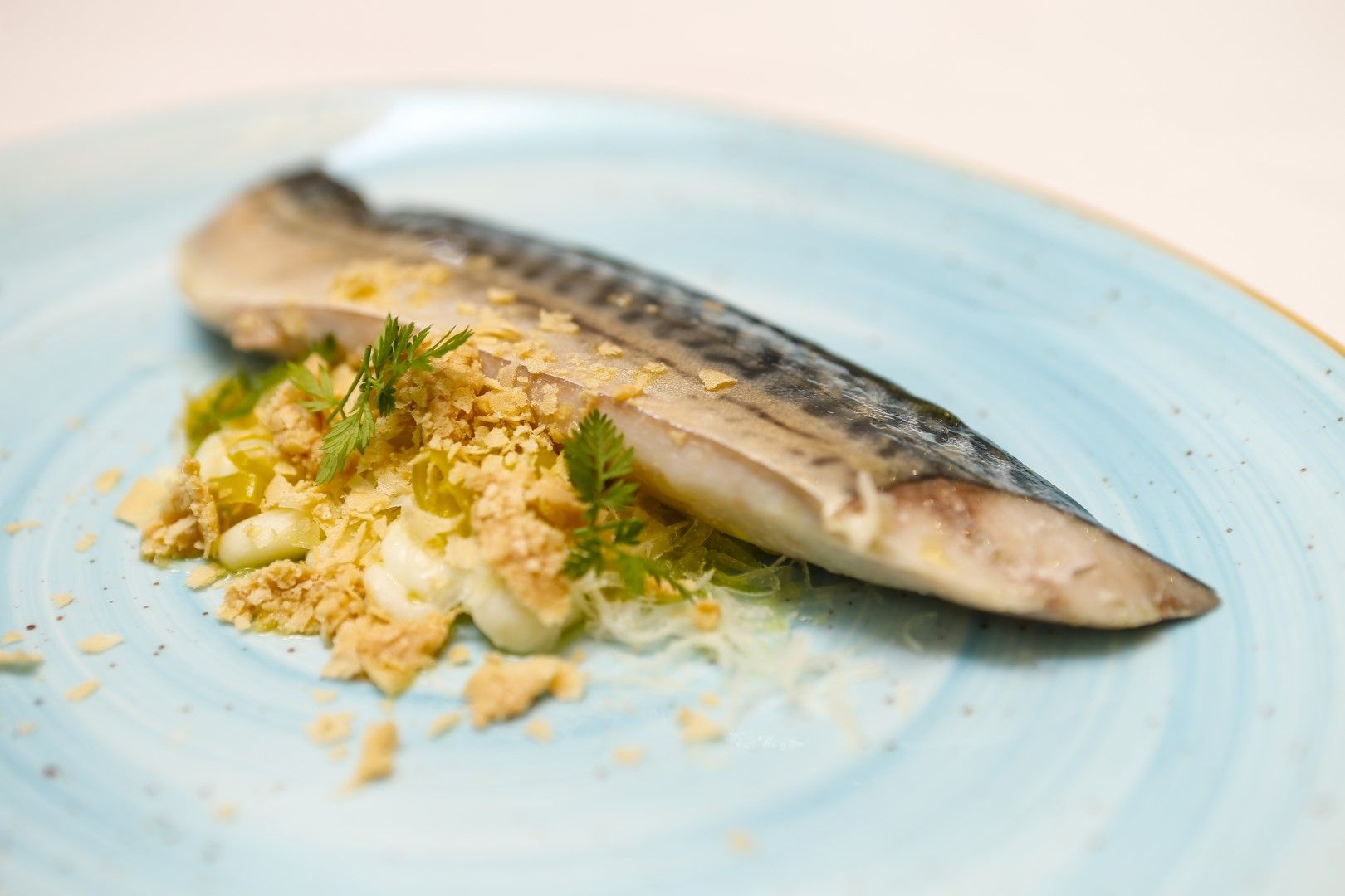 La Gastrocasa: Caballa en anarquía de sabores.
