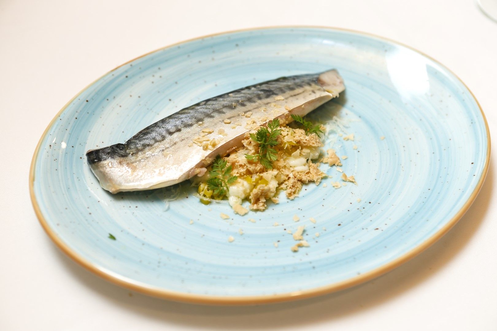 La Gastrocasa: Caballa en anarquía de sabores.