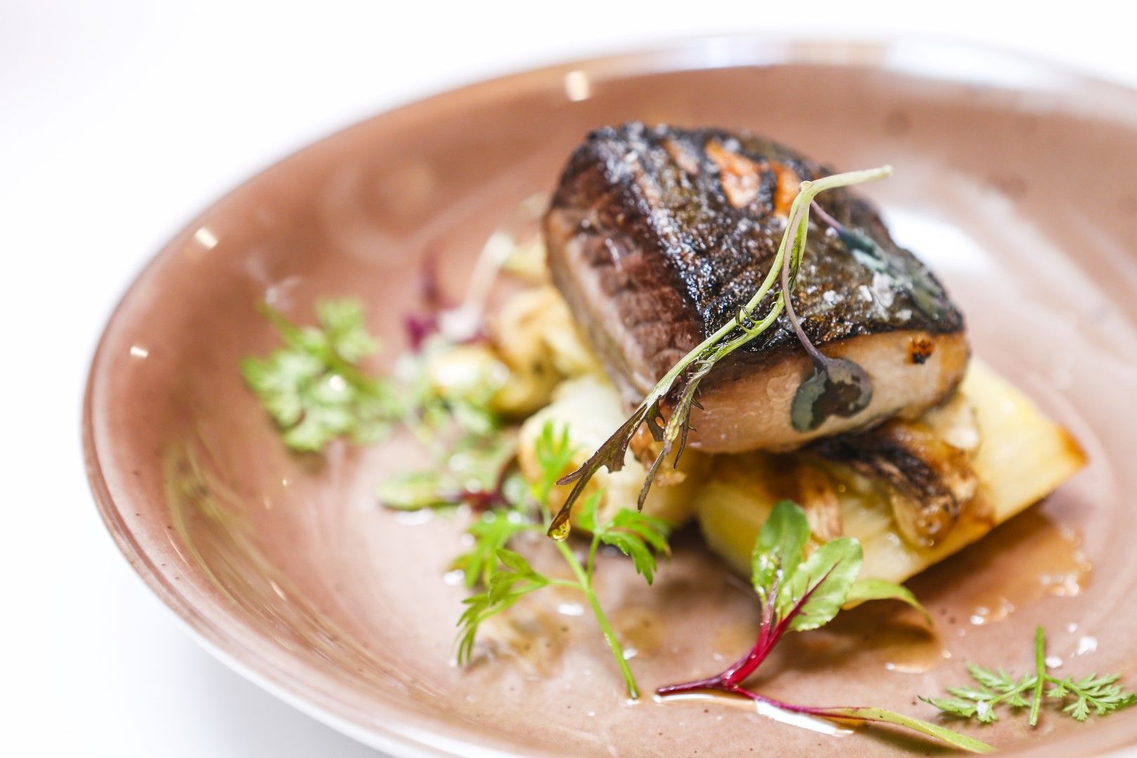 La Gastrocasa: Ensalada de bonito y verduras a la llama.