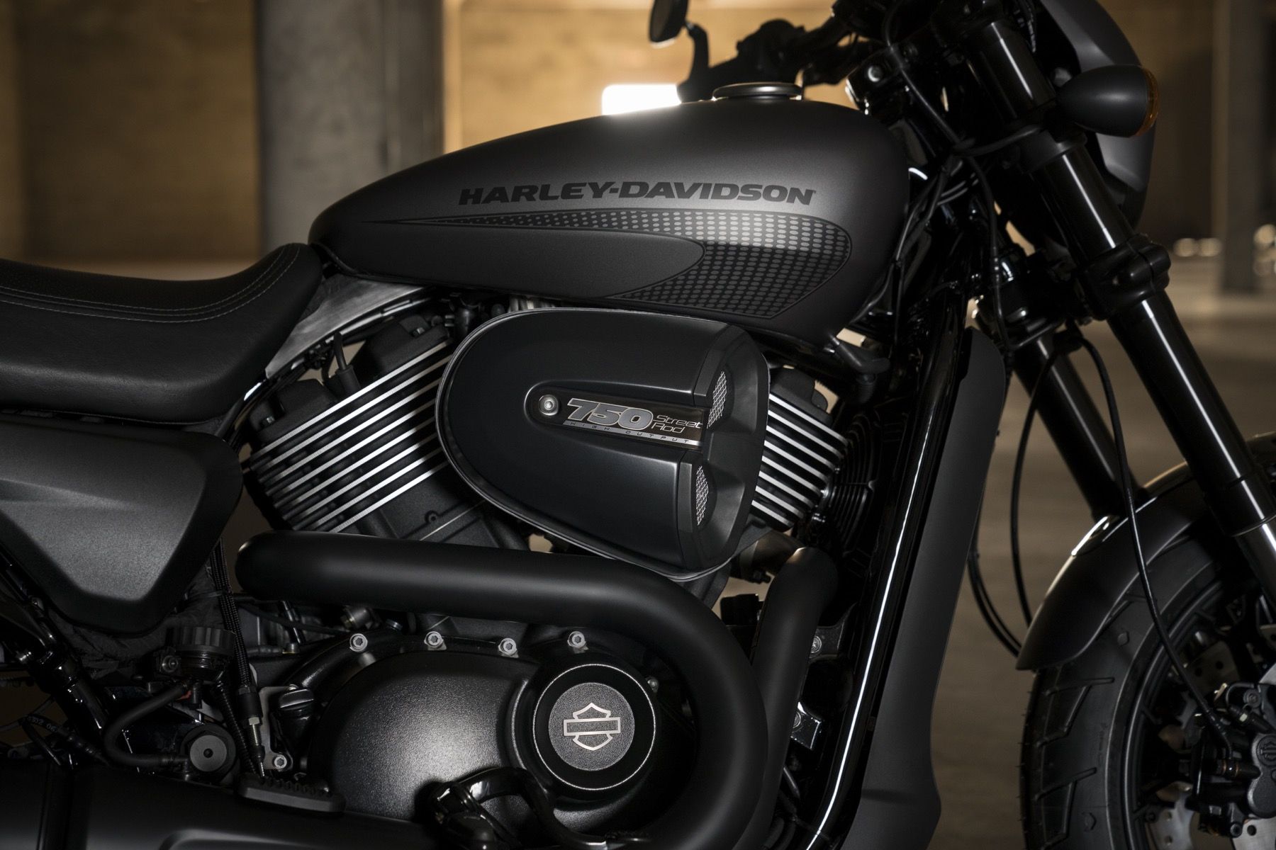 Harley Davidson Street Rod 2017