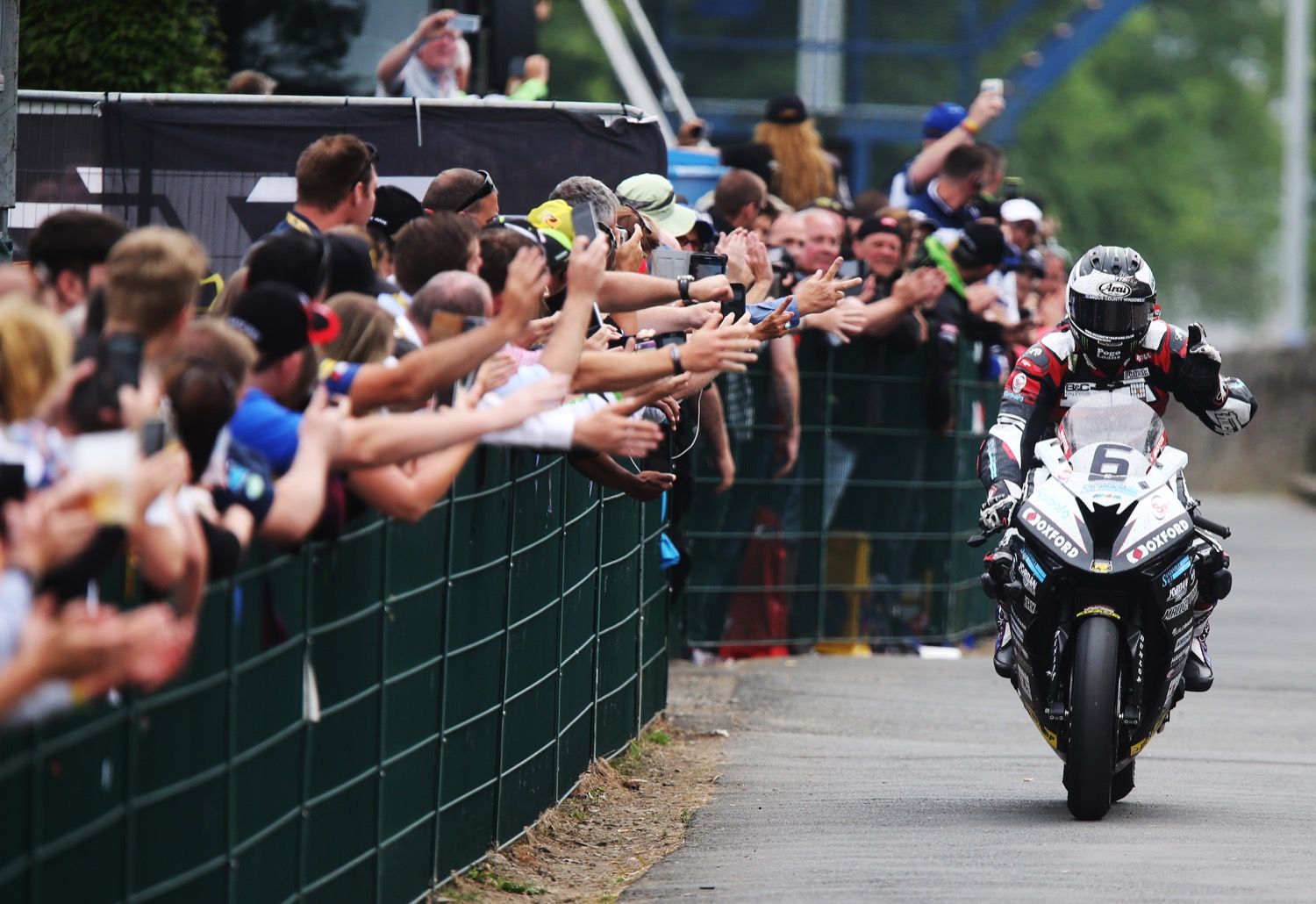 IOMTT 2017 Previa