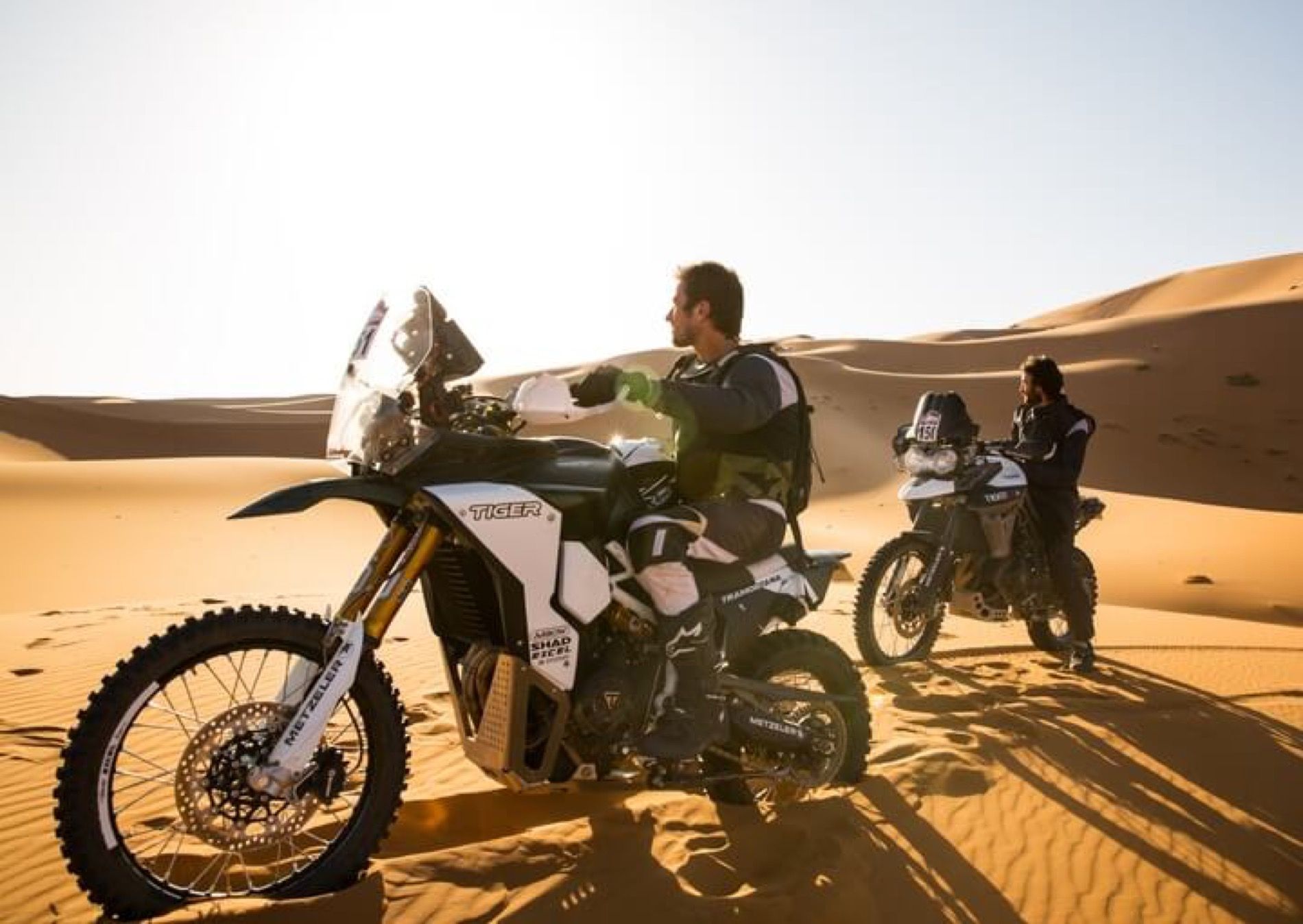 Galería de la Triumph Tiger Tramontana