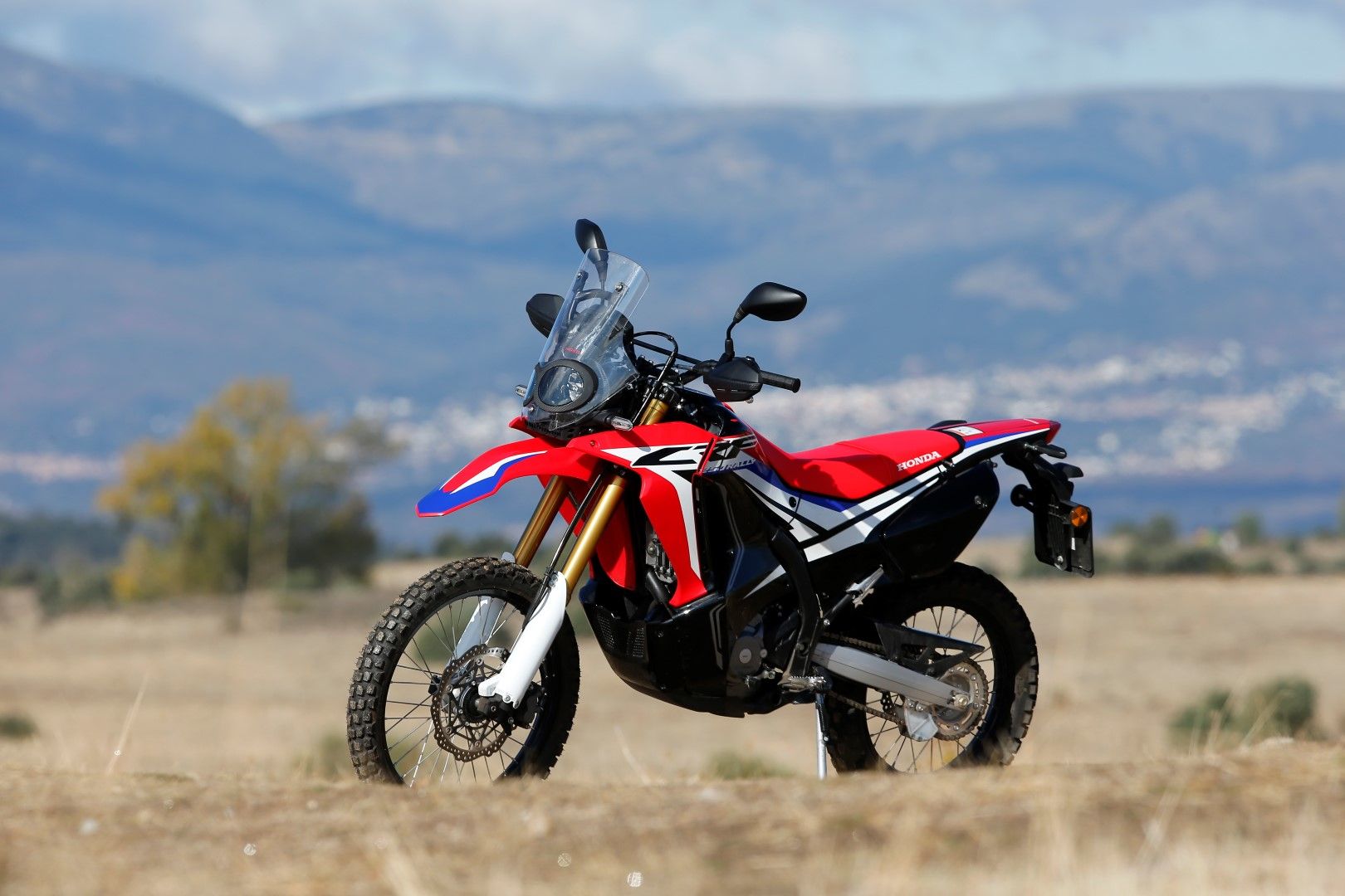 Honda CRF250 Rally. Fotos