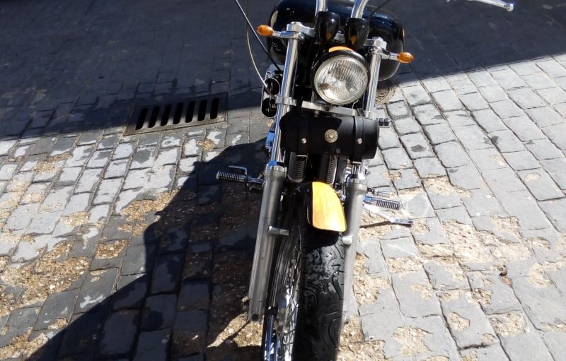 Harley-Davidson Sportster XL 1200C Custom