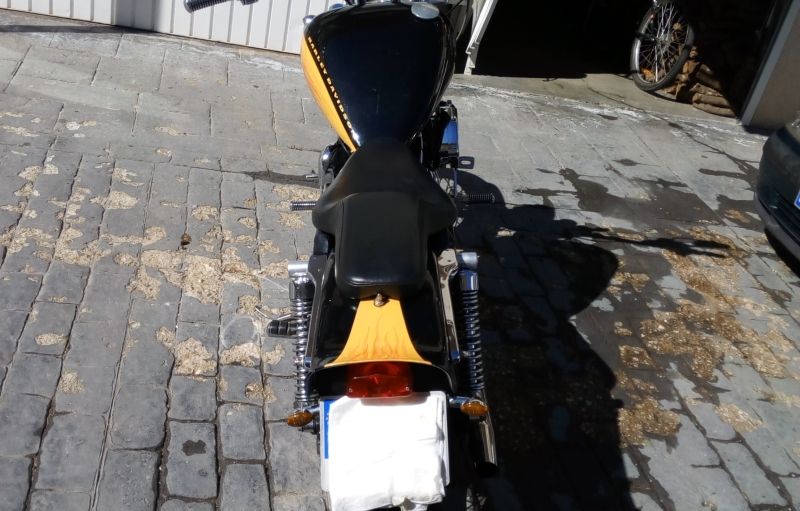 Harley-Davidson Sportster XL 1200C Custom
