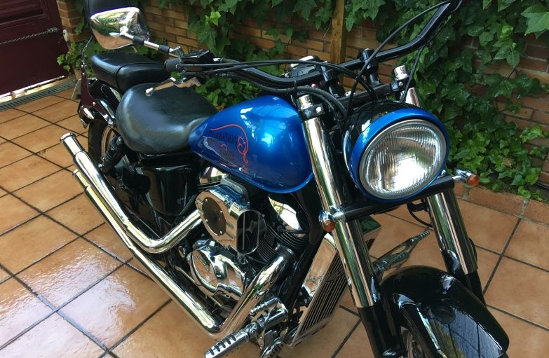 Honda VT750ACE Shadow