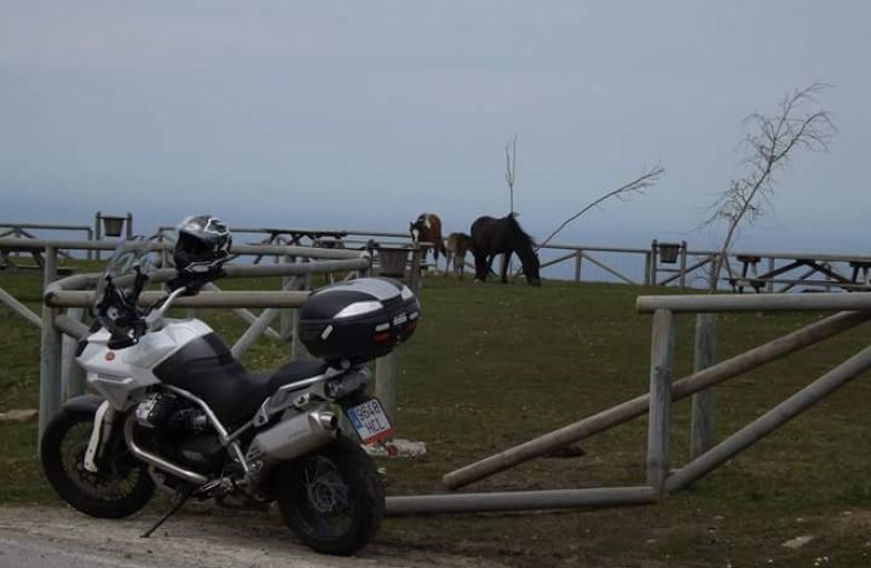 Moto Guzzi Stelvio 1200 4v