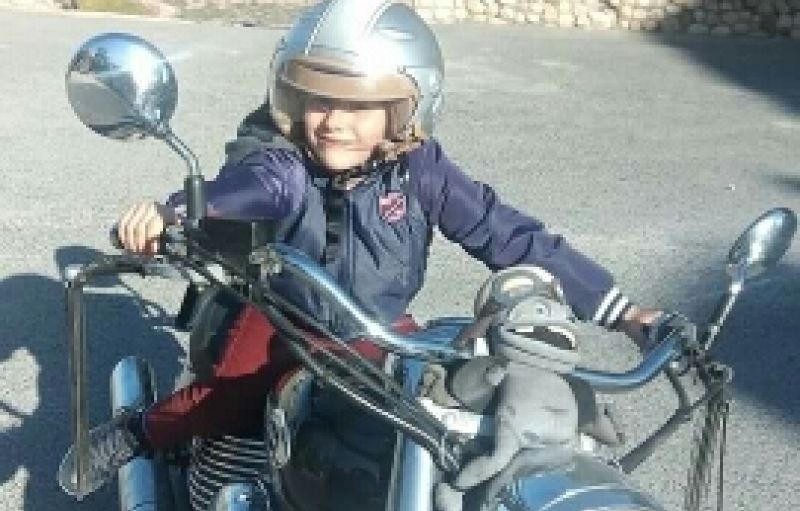 Honda SW-T600