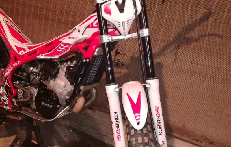 Beta Evo 300 2T