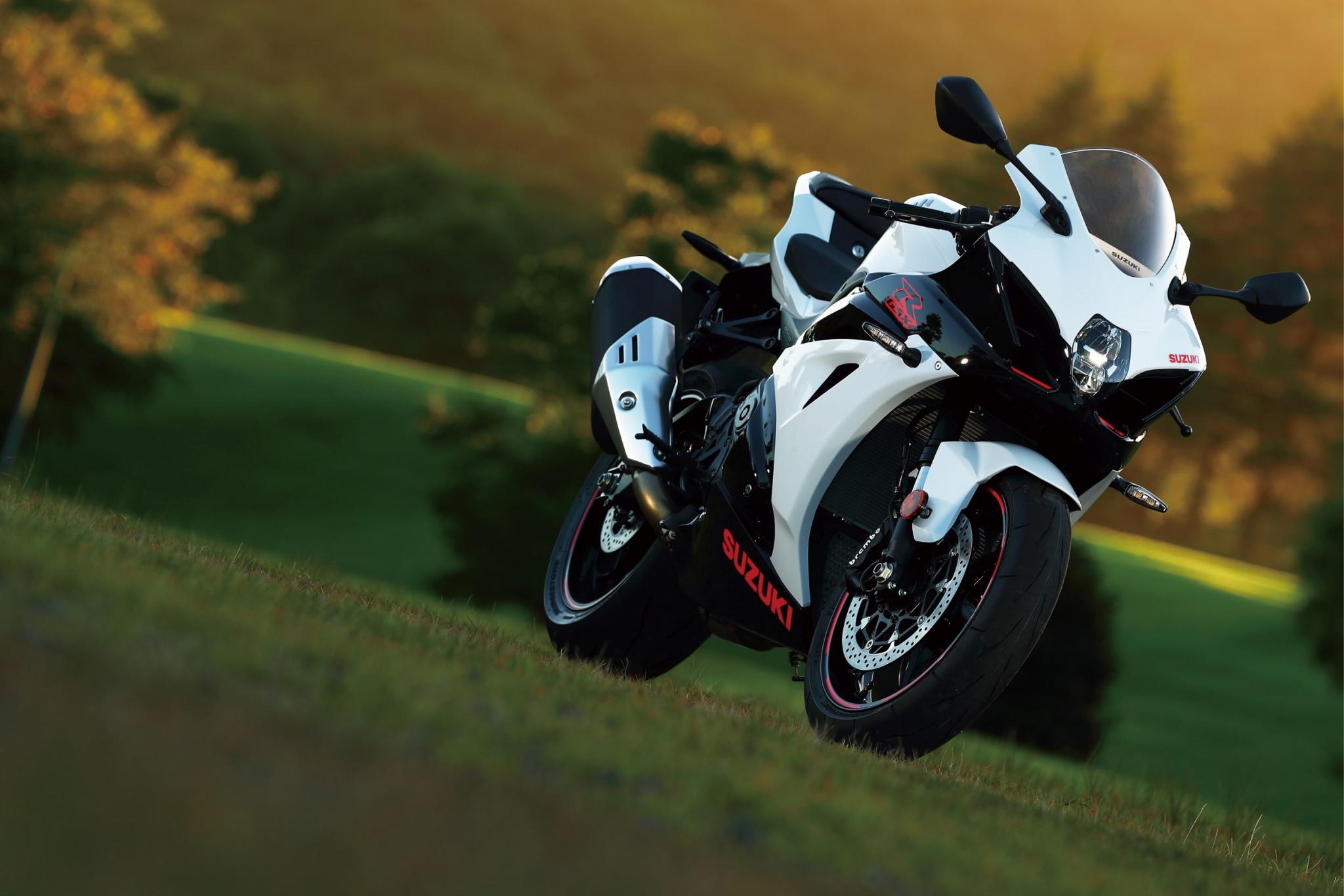 Suzuki GSX-R1000 y GSX-R1000 R